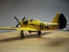 Hasegawa 1/48 scale P-39 Racer Cobra II by Pat Donohue: Image