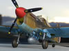 Hasegawa 1/32 P-40F Kittyhawk by Paul Coudeyrette: Image