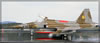 Kinetic 1/48 scale F-5A by Matthias Becker: Image