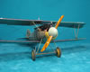 Wingnut Wings 1/32 Albatros D.V by Frank Dargies: Image