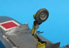 Tamiya 1/48 P-47D Thunderbolt by Tolga Ulgur: Image