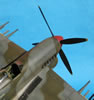 Hasegawa 1/48 Hawker Typhoon Mk.Ib by Tolga Ulgur: Image