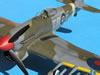 Hasegawa 1/48 Hawker Typhoon Mk.Ib by Tolga Ulgur: Image