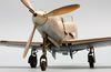 Eduard 1/48 scale P-39 Airacobra by Roland Sachsenhofer: Image