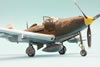 Eduard 1/48 P-39Q Airacobra by Roland Sacshenhofer: Image