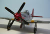 Tamiya 1/32 scale P-51D Mustang by Estaban Murador: Image