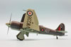 Trumpeter 1/48 scale Hawker Sea Fury by Roland Sacshenhofer: Image