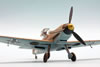 Revell / ICM 1/48 scale Messerschmitt Bf 109 F-4/Trop by Roland Sachsenhofer: Image