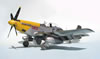 Tamiya 1/32 scale P-51D Mustang by Tolga Ulgur: Image