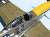 Tamiya 1/32 scale P-51D Mustang by Tolga Ulgur: Image