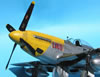 Tamiya 1/32 scale P-51D Mustang by Tolga Ulgur: Image