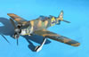 Hasegawa 1/32 Fw 190 A-5 by Tolga Ulgur: Image