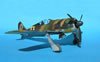 Hasegawa 1/32 Fw 190 A-5 by Tolga Ulgur: Image