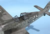 Hasegawa 1/32 scale Fw 190 A-8/R8 by Tolga Ulgur: Image