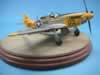 Tamiya 1/48 scale P-51D Mustang by Larry Davis: Image