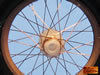 Scale Spokes Preview: Image