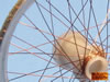 Scale Spokes Preview: Image