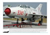 Air Connection Detail & Color Series MiG-21UM Book Preview: Image