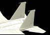 G.W.H. 1/48 scale F-15B/D Preview: Image