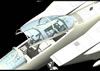 G.W.H. 1/48 scale F-15B/D Preview: Image