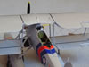 Airfix 1/72 Swordfish by Roger Hardy: Image