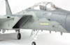 Hasegawa 1/48 scale F-15C Mod Eagle by Jon Bryon: Image