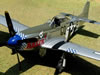 Tamiya 1/32 P-51D Mustang by Jumpei Temma: Image