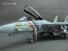 Hasegawa 1/48 scale F-14D Tomcat by Louis Chang: Image