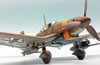 Hasegawa 1/32 Ju 87 G-2 by Roland Sachsenhofer: Image