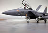 Revell 1/48 F-15E by Dieter Wiegmann: Image