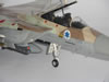 Hasegawa _ Isracast F-15I Ra'am: Image