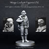 Wings Cockpit 1/32 Figure Preview: Image