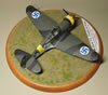 Hobbycraft 1/48 P-36 Hawk by Reidar Berg: Image