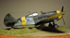 Hobbycraft 1/48 P-36 Hawk by Reidar Berg: Image