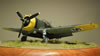 Hobbycraft 1/48 P-36 Hawk by Reidar Berg: Image