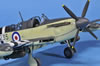 Special Hobby 1/48 Fairey Firefly Mk.V by Remi Schackmann: Image