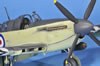 Special Hobby 1/48 Fairey Firefly Mk.V by Remi Schackmann: Image