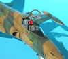 Kinetic 1/48 F-5A by Tolga Ulgar: Image