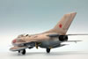 Trumpeter 1/48 scale MiG-19S Farmer C by Roland Sachsenhofer: Image