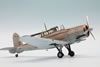 Special Hobby 1/48 Blackburn Skua Mk.II by Roland Sachsenhofer: Image