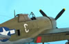 Tamiya 1/48 P-47D Thunderbolt Razorback by Tolga Ulgar: Image