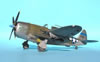 Tamiya 1/48 P-47D Thunderbolt Razorback by Tolga Ulgar: Image