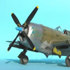 Tamiya 1/48 P-47D Thunderbolt Razorback by Tolga Ulgar: Image