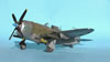 Tamiya 1/48 P-47D Thunderbolt Razorback by Tolga Ulgar: Image