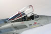 Hasegwa's 1/48 scale F-15C Eagle by Pier Citterio: Image