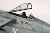 Hasegwa's 1/48 scale F-15C Eagle by Pier Citterio: Image