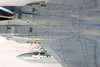 Hasegwa's 1/48 scale F-15C Eagle by Pier Citterio: Image