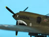 Hasegawa 1/48 P-40N by Tolga Ulgar: Image