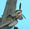 Hasegawa 1/48 P-40N by Tolga Ulgar: Image