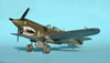 Hasegawa 1/48 P-40N by Tolga Ulgar: Image